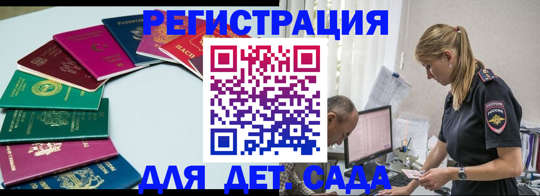 прописка 2025 в Светлогорске
