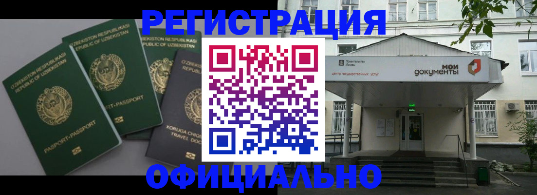 прописка 2025 в Светлогорске
